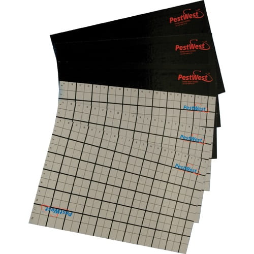 Лампа та клеєві платини